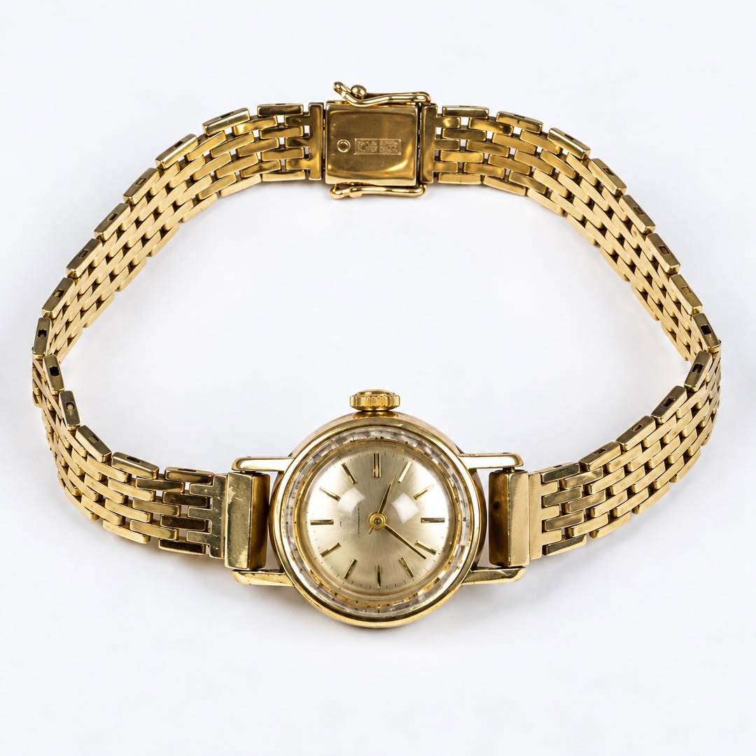 Lost watch
