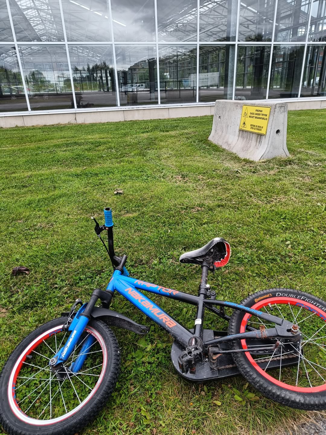 Found bike