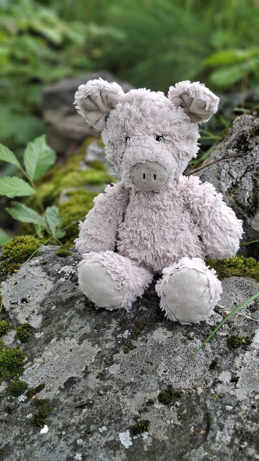 Found toy