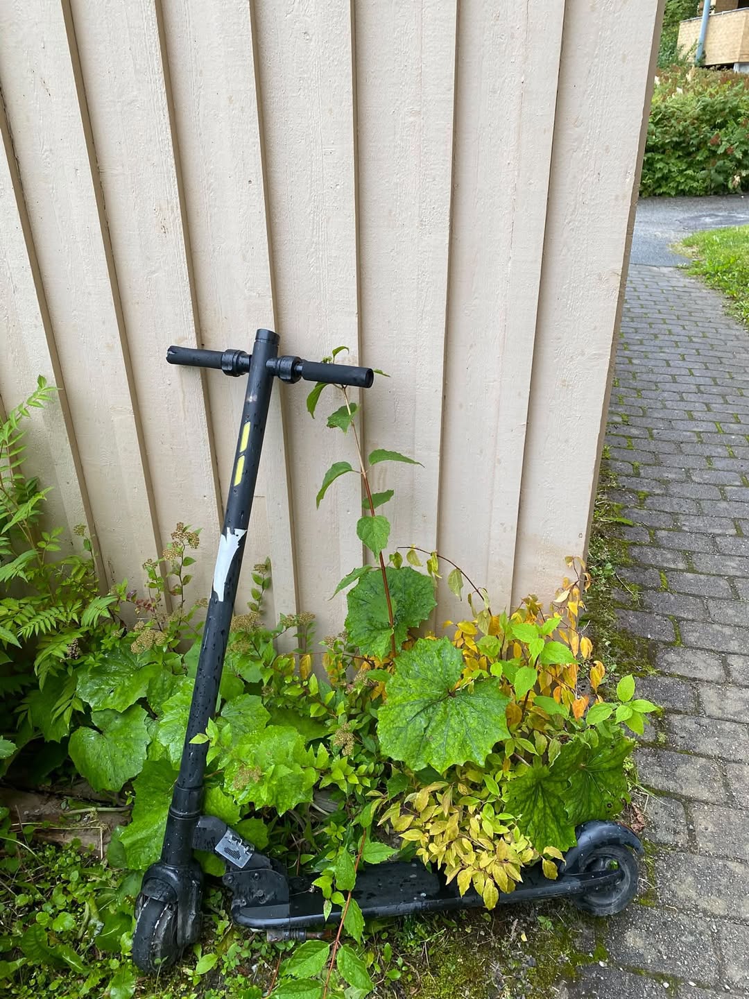 Found electric scooter