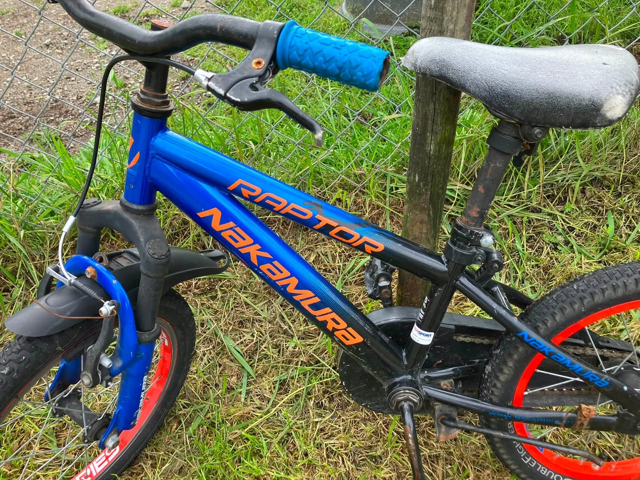 Found bike