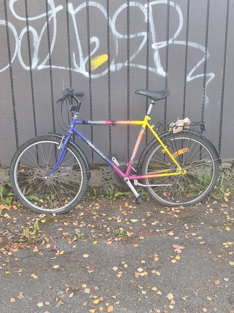 Found bike