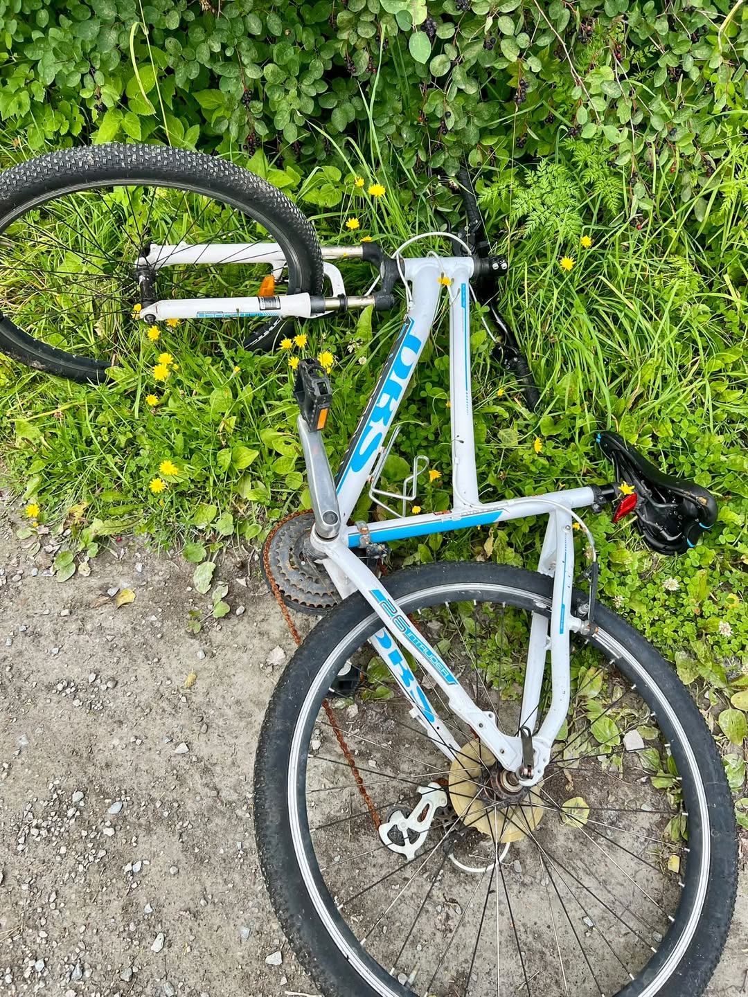 Found bike