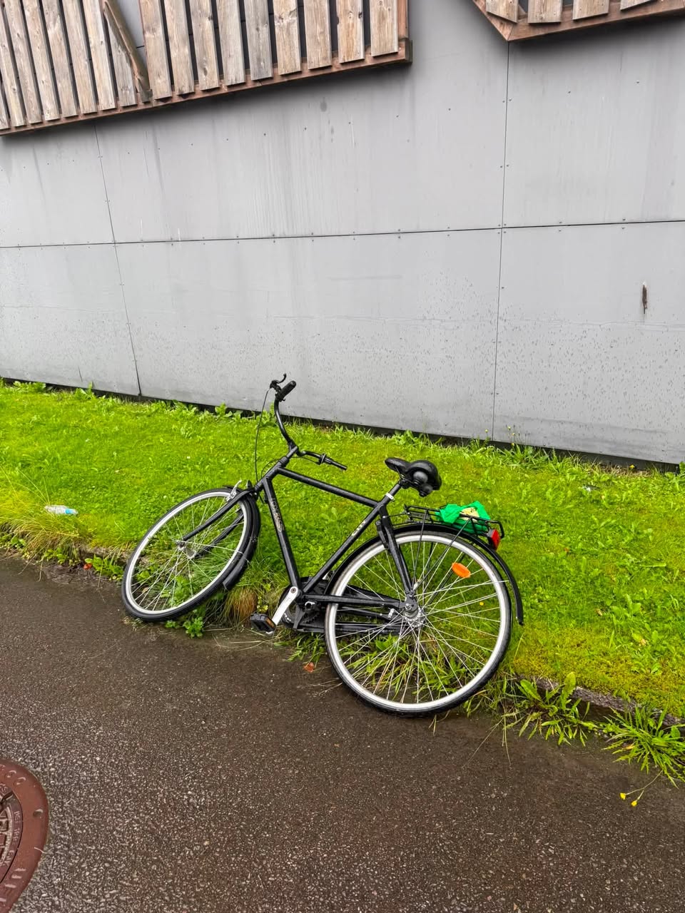 Found bike