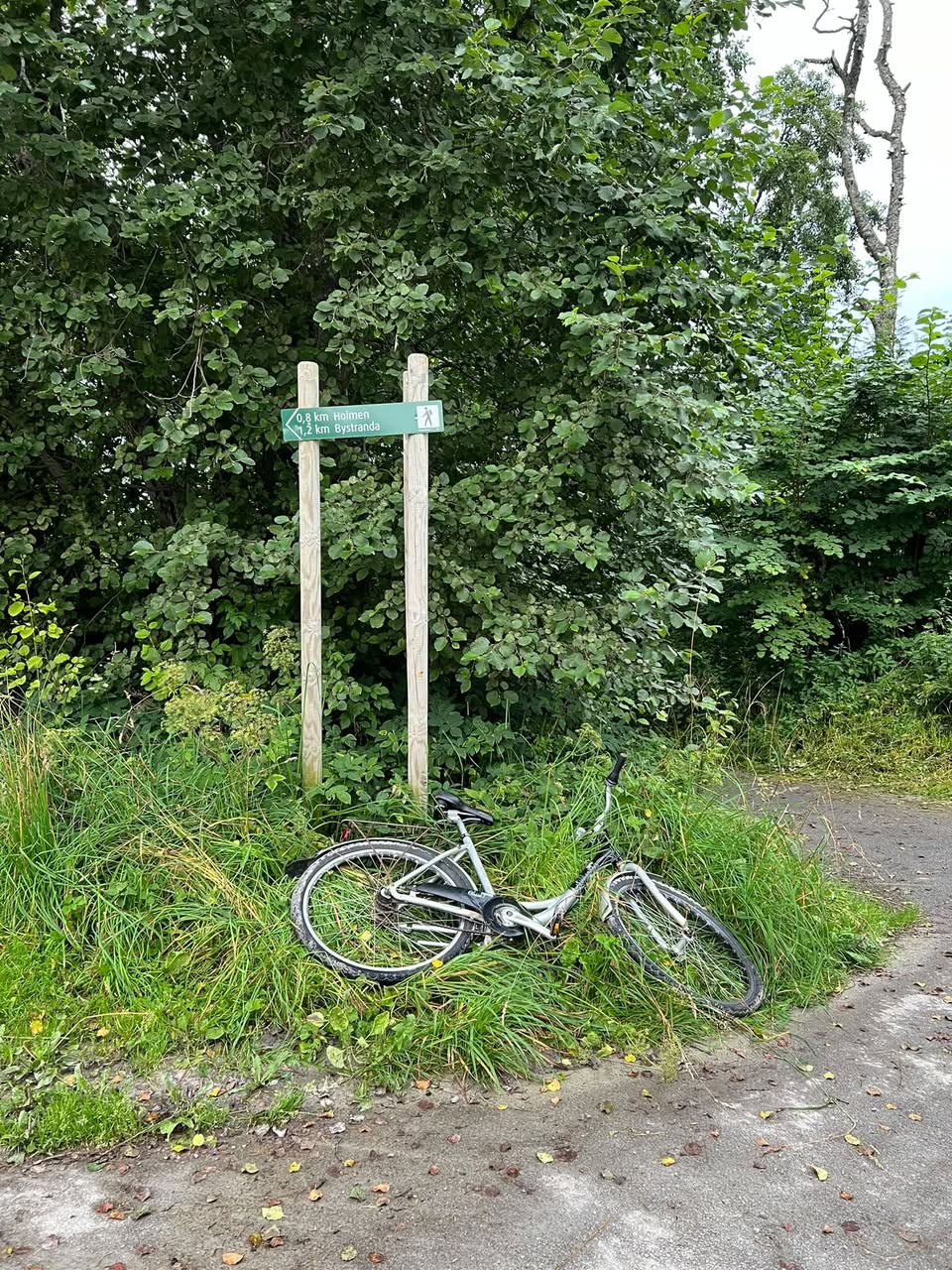 Found bike