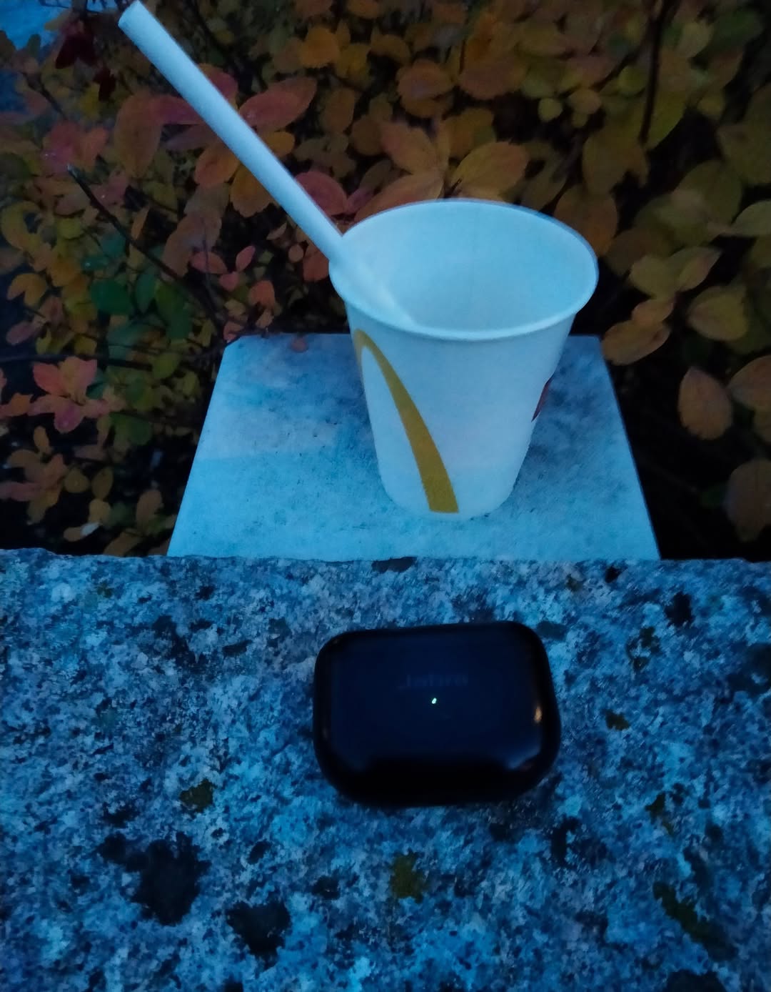 Found headphone