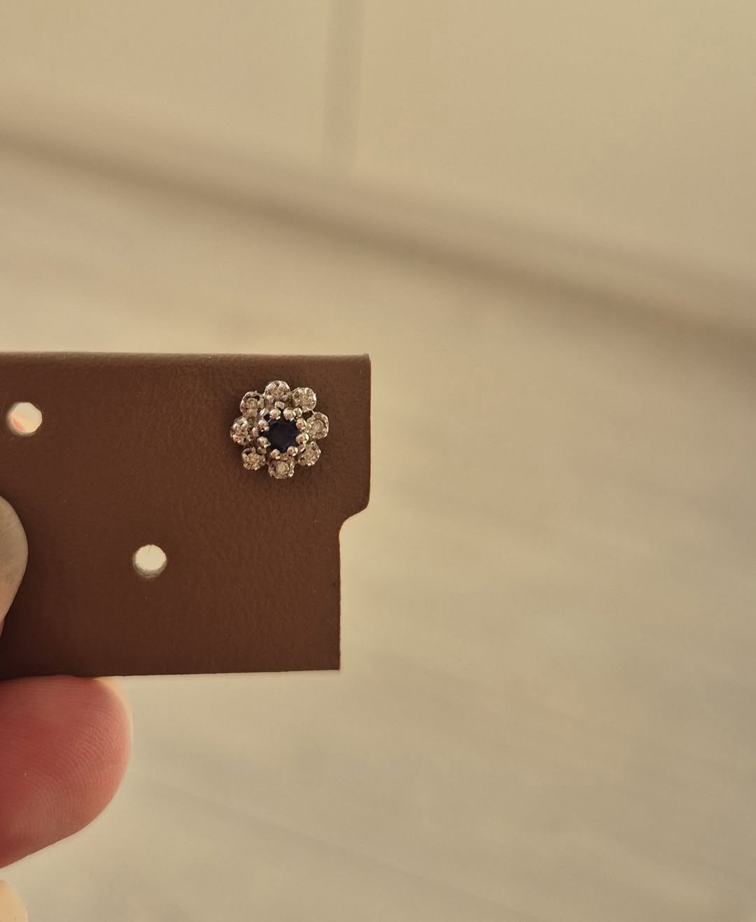 Found earring