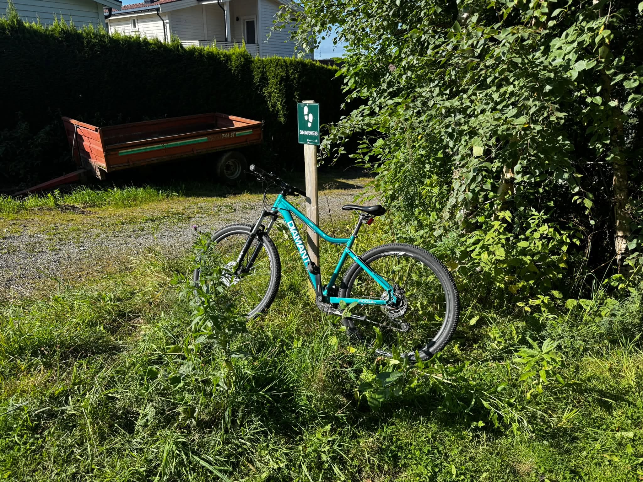 Found bike