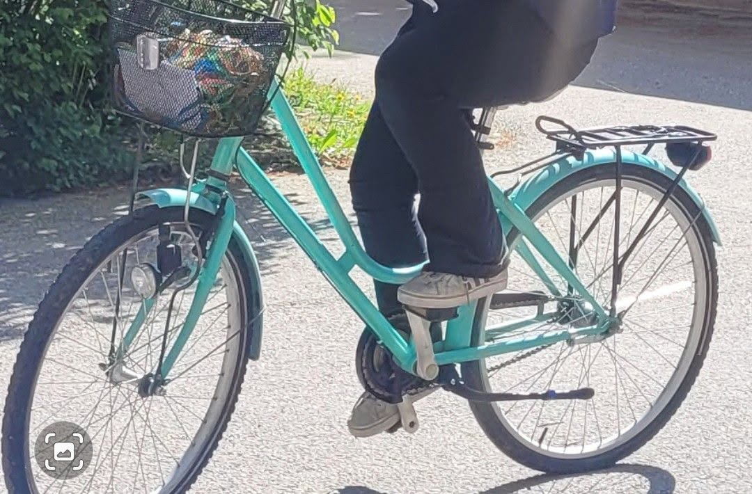 Lost Bike in Uppsala