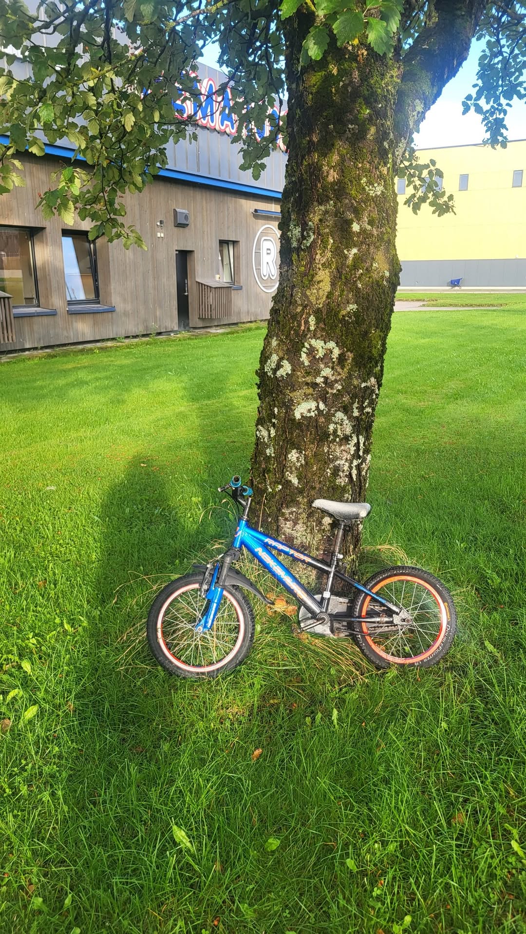 Found bike