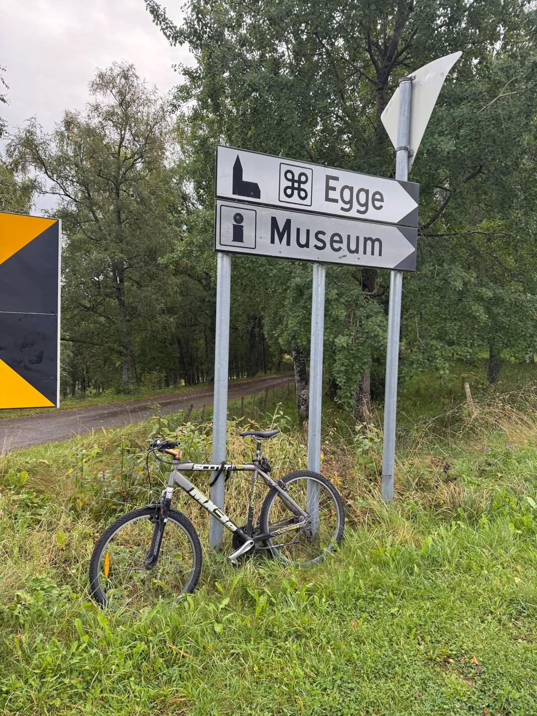 Found bike