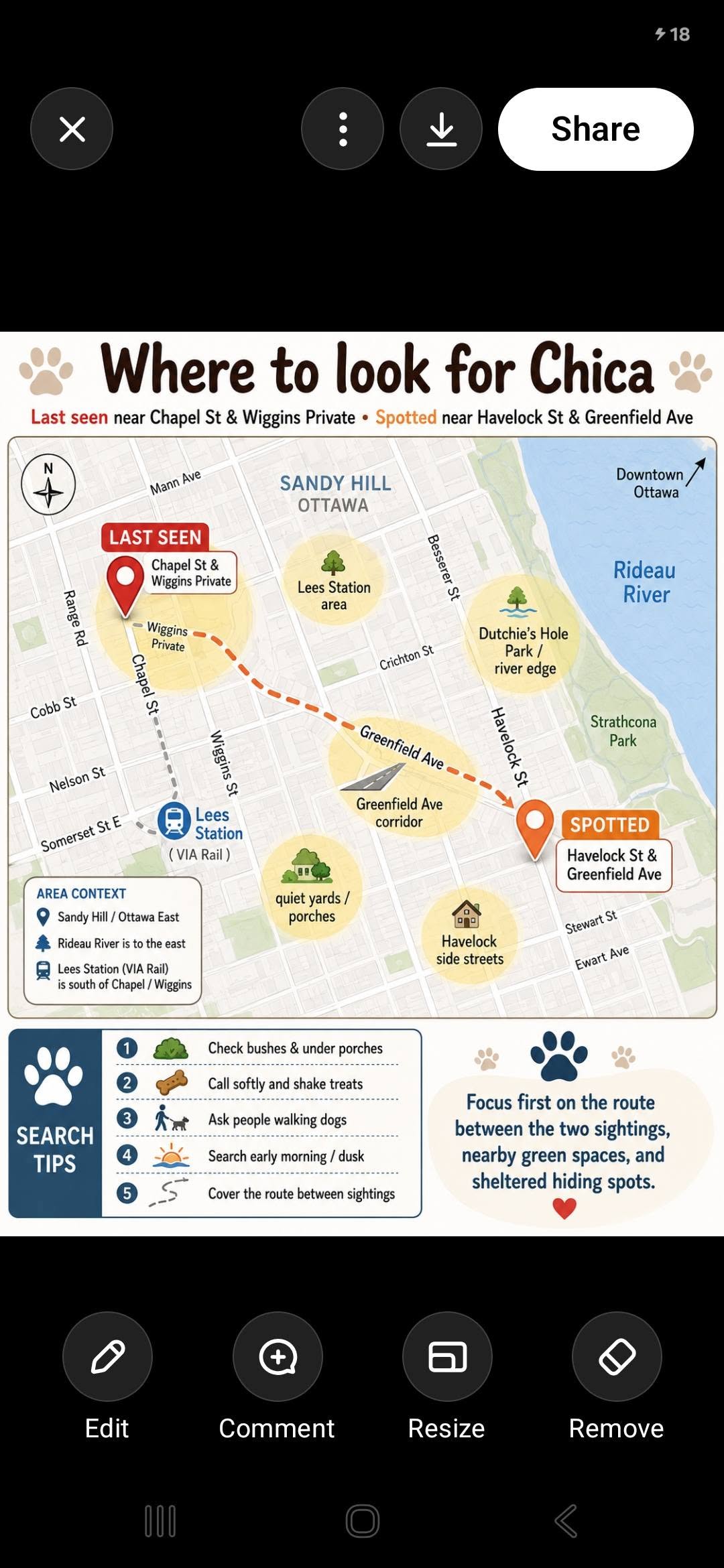 Lost Pet in Sandy Hill