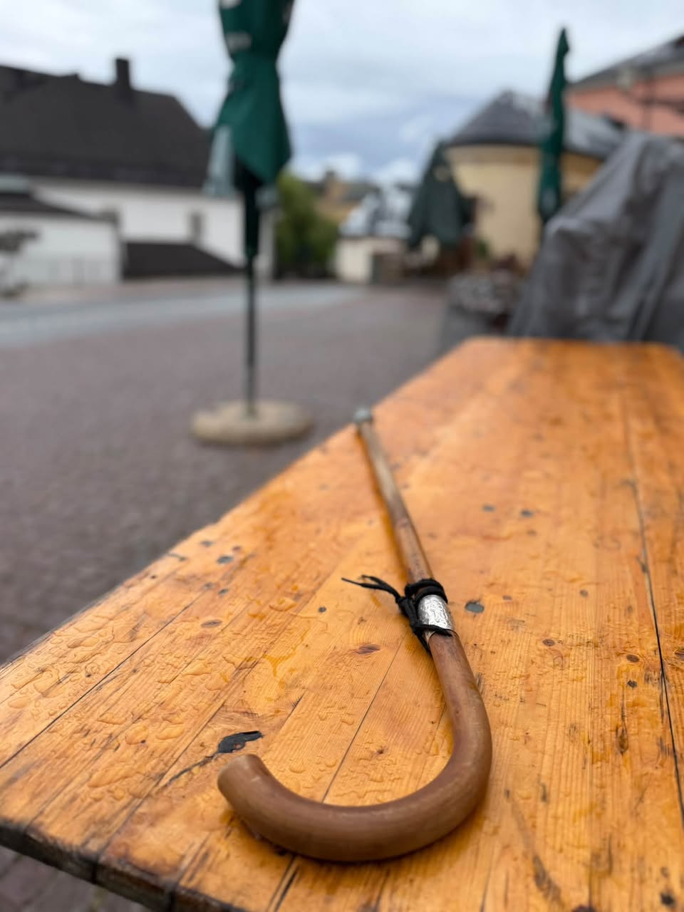 Found Walking Stick in Uppsala