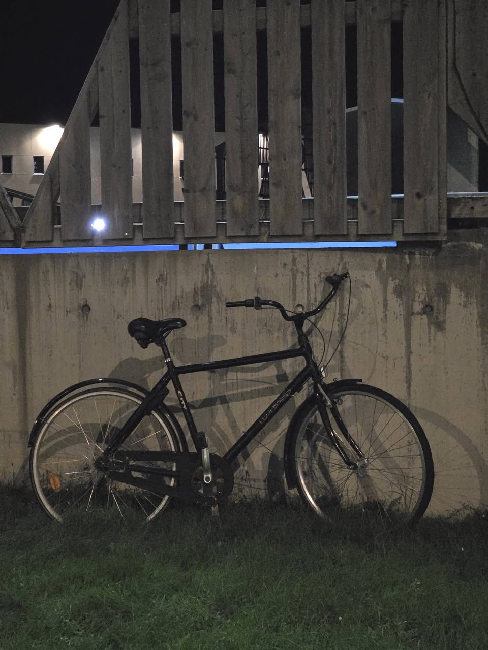 Found bike