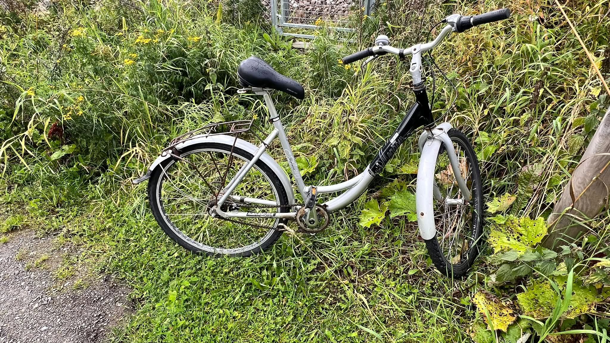 Found bike