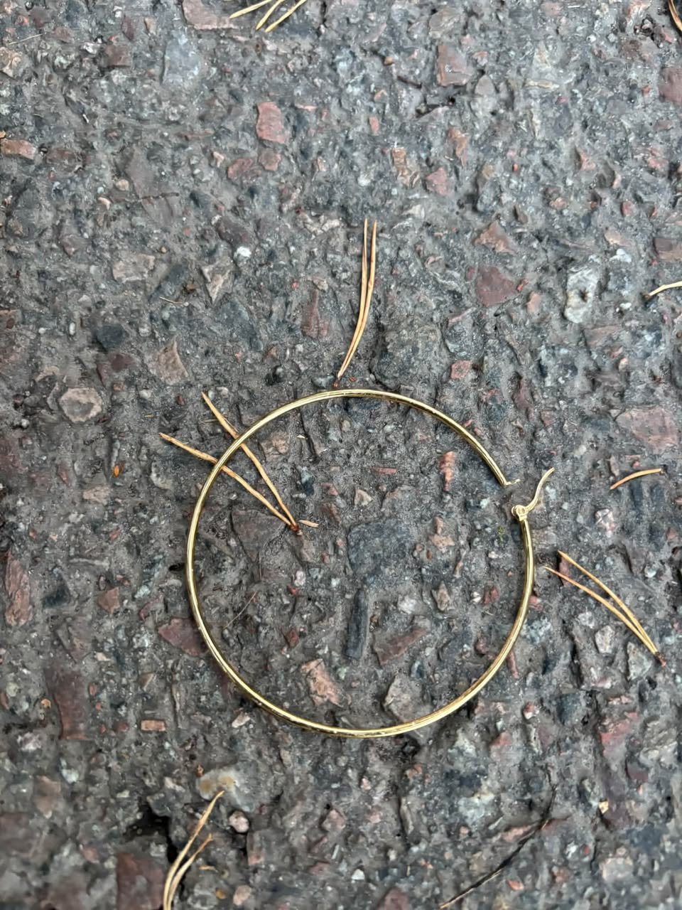Found earring