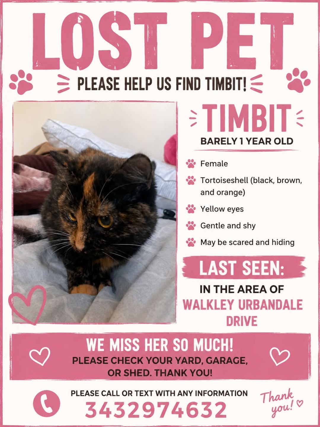 Lost cat