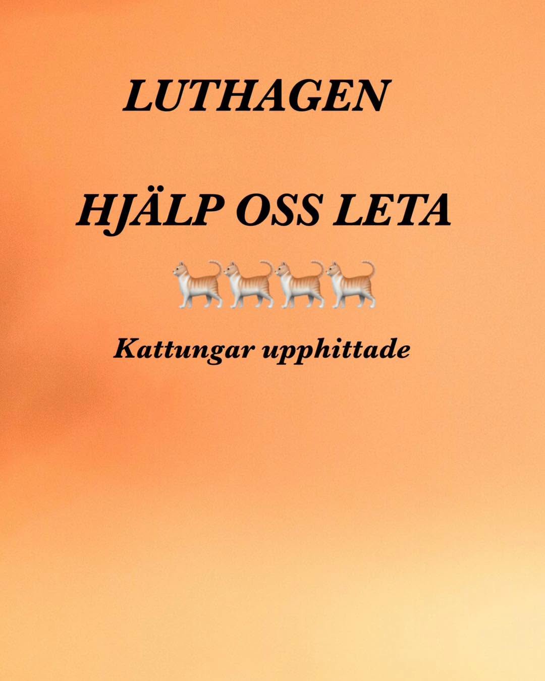 Found Cat in Uppsala