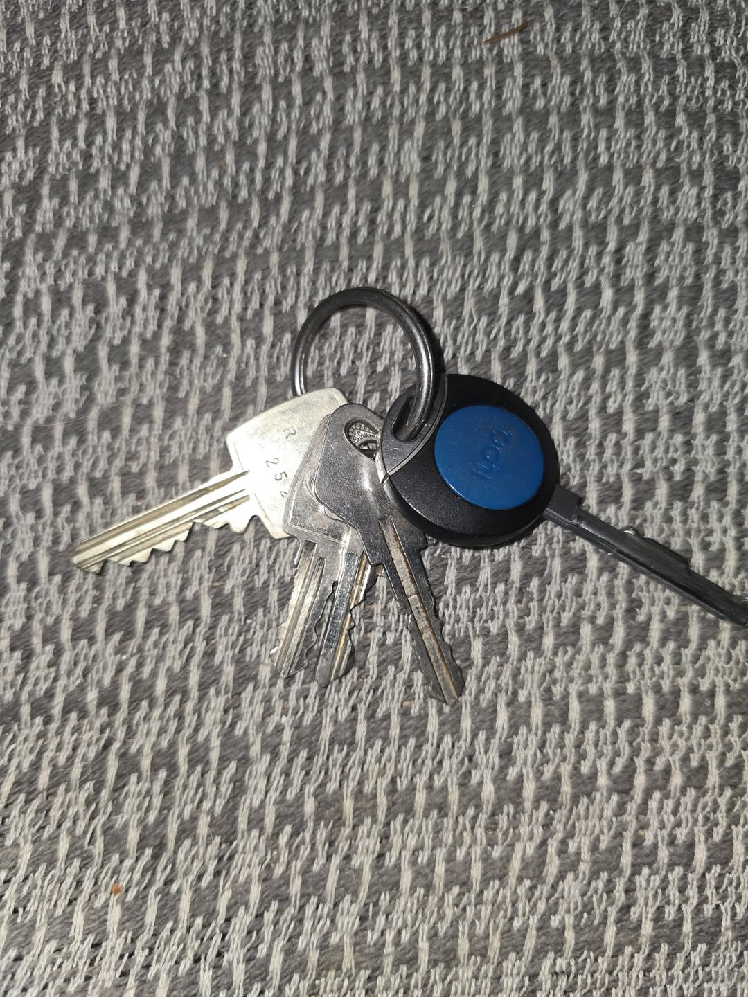 Found Keys in Schmiedeberg