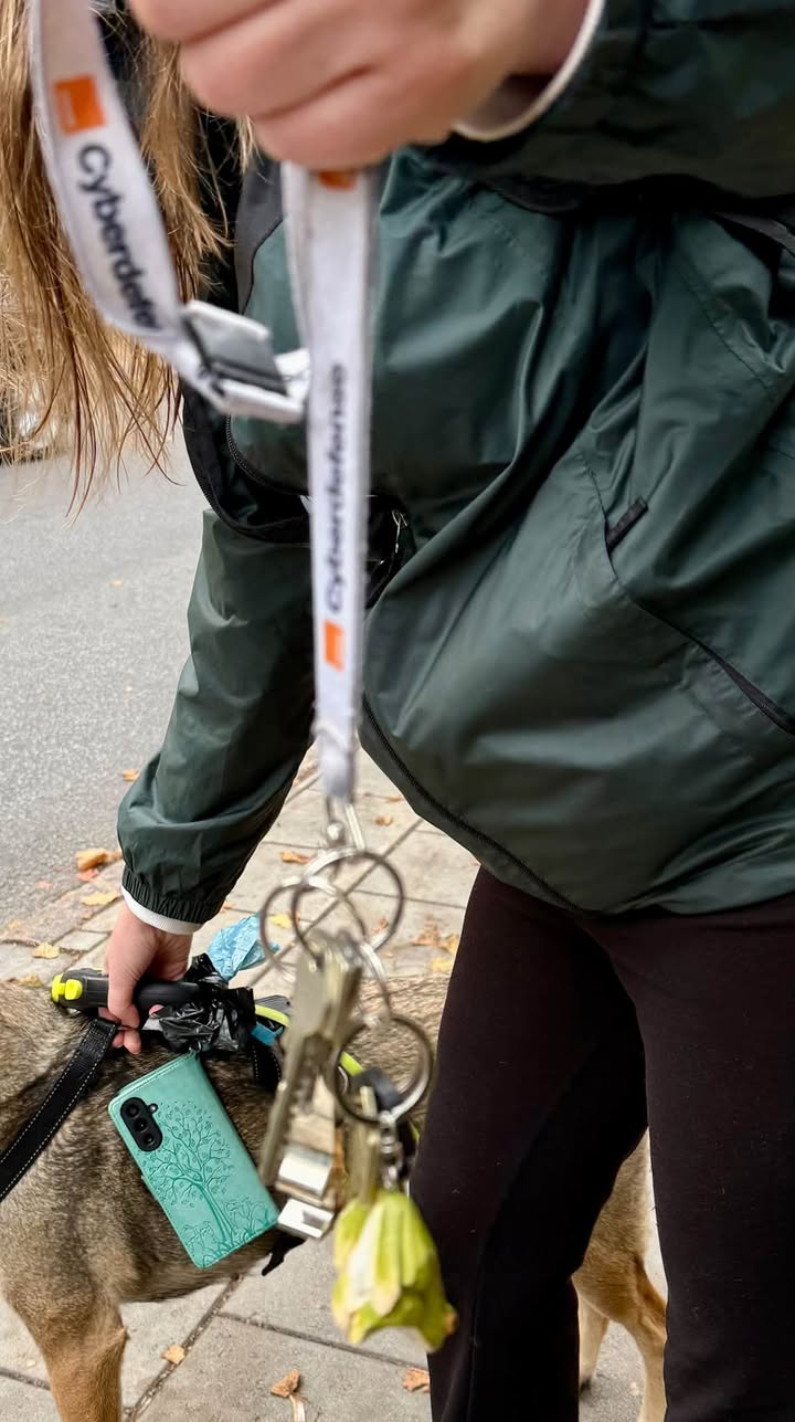 Found keys