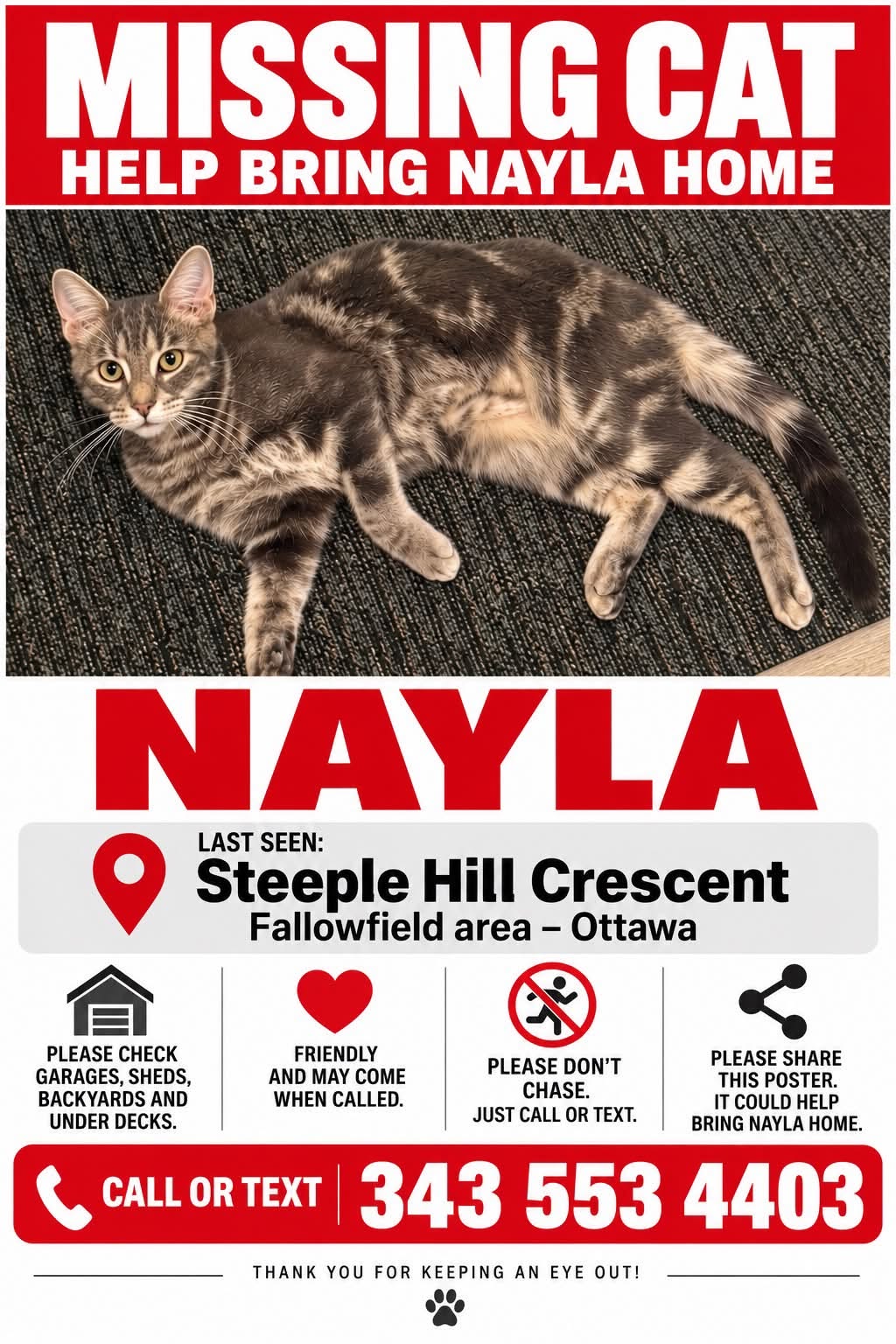 Lost Cat in Fallowfield