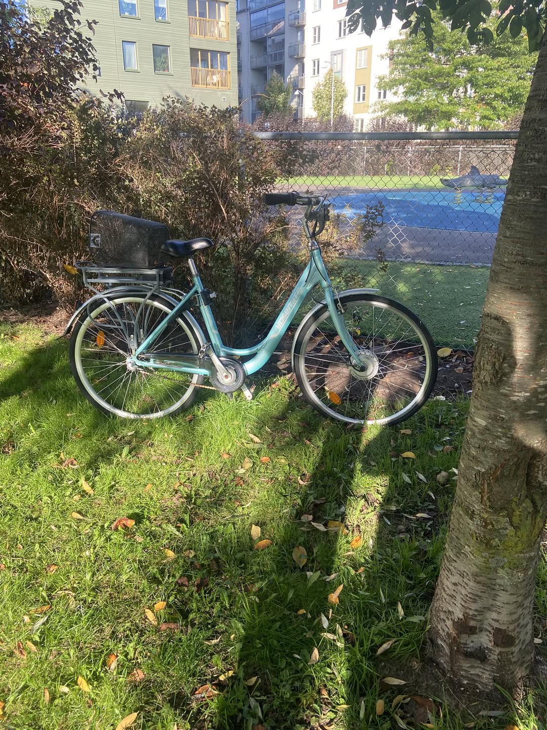 Found bike