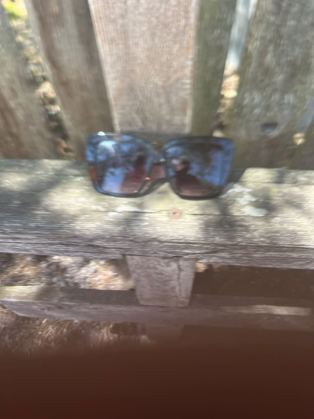 Found sunglasses