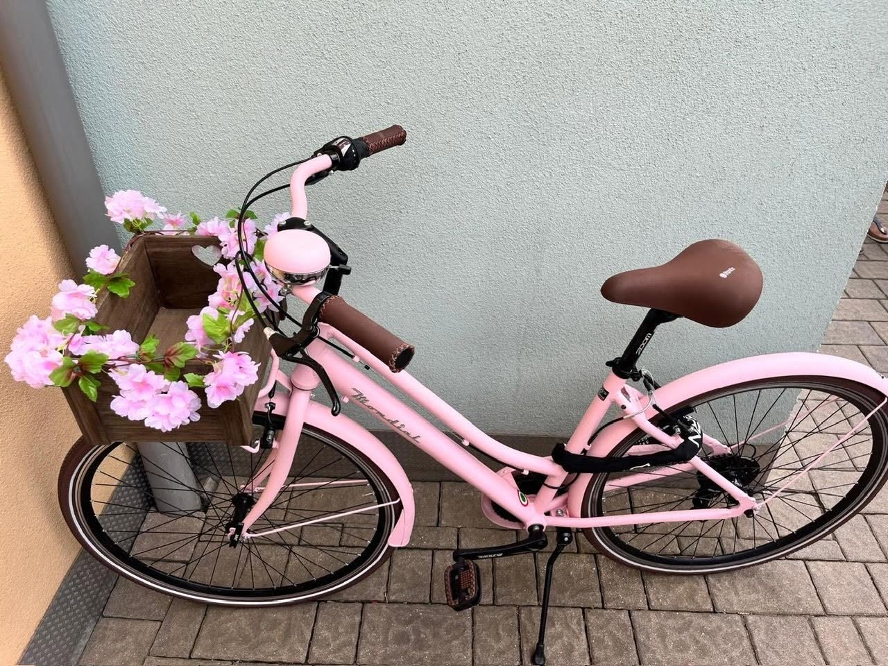 Lost Bike in Bruneck