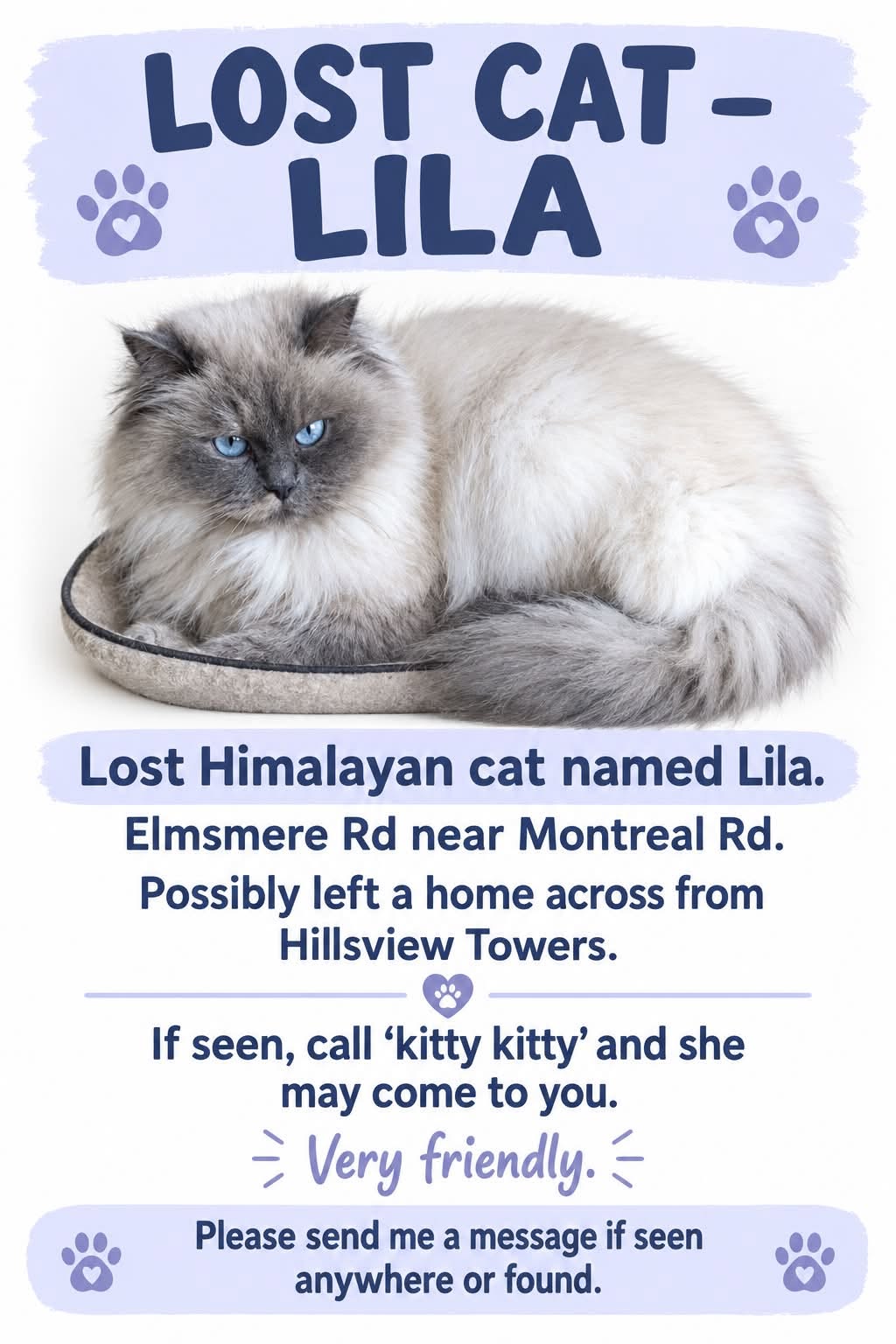 Lost Cat in Ottawa