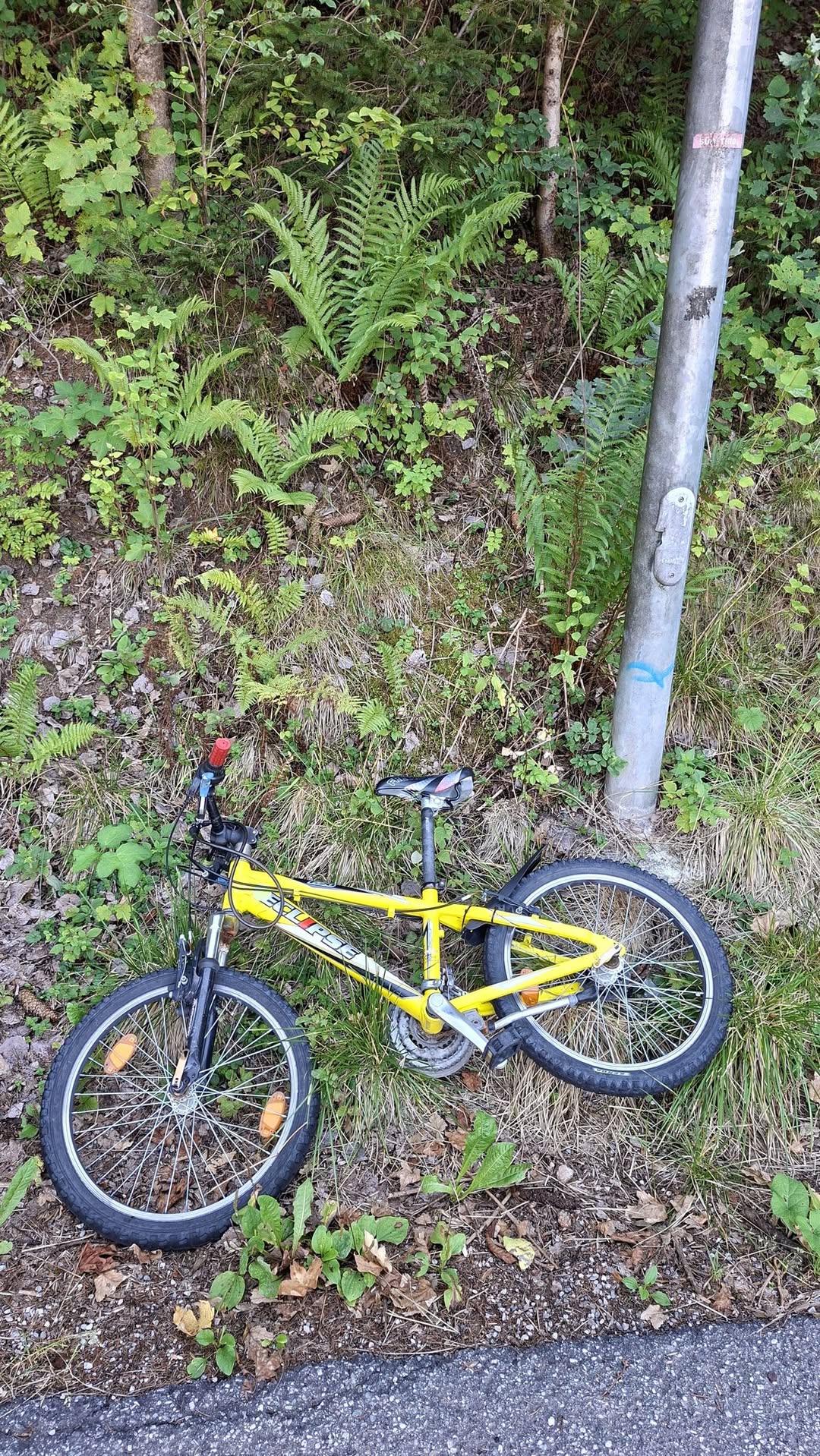 Found bike