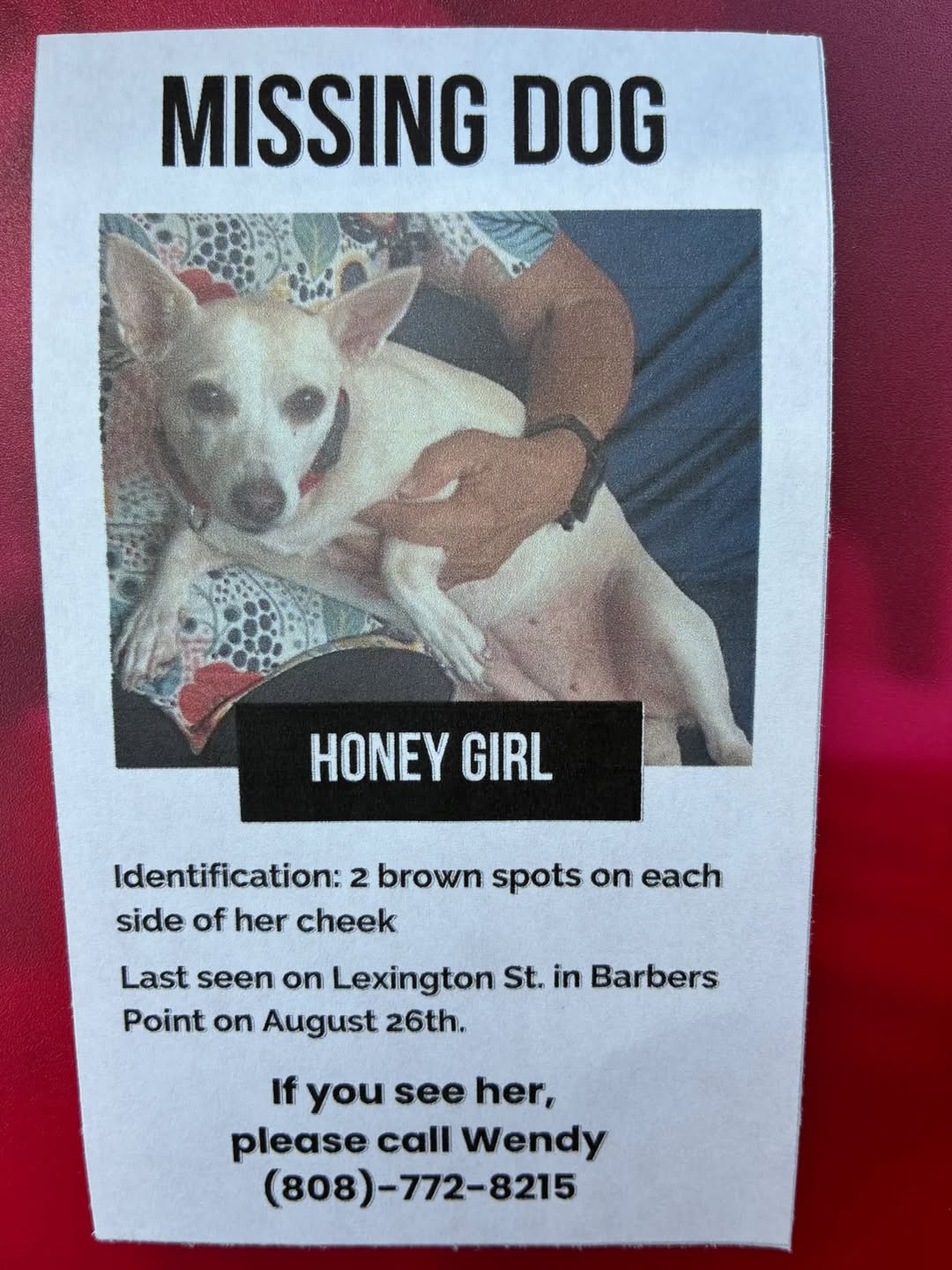Lost Dog in Barbers Point