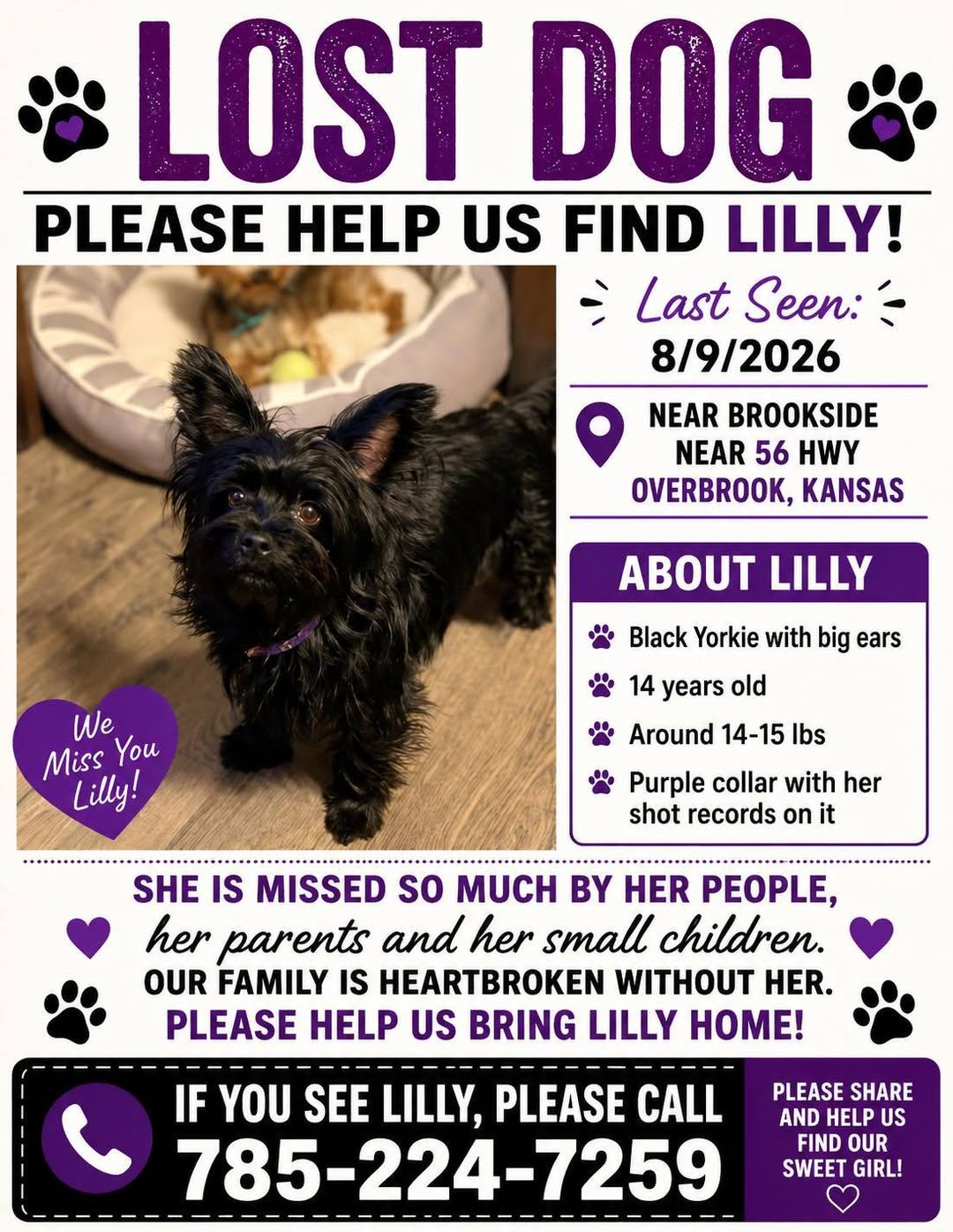 Lost Dog in Overbrook
