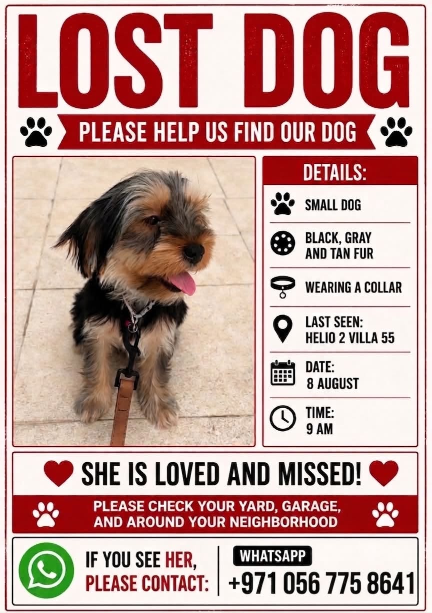 Lost dog