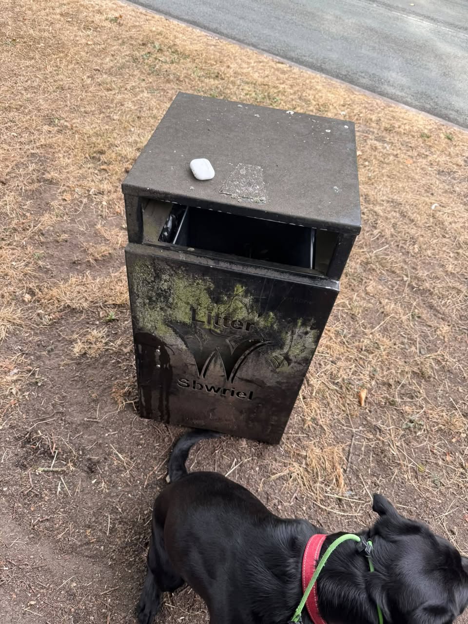 Found airpods