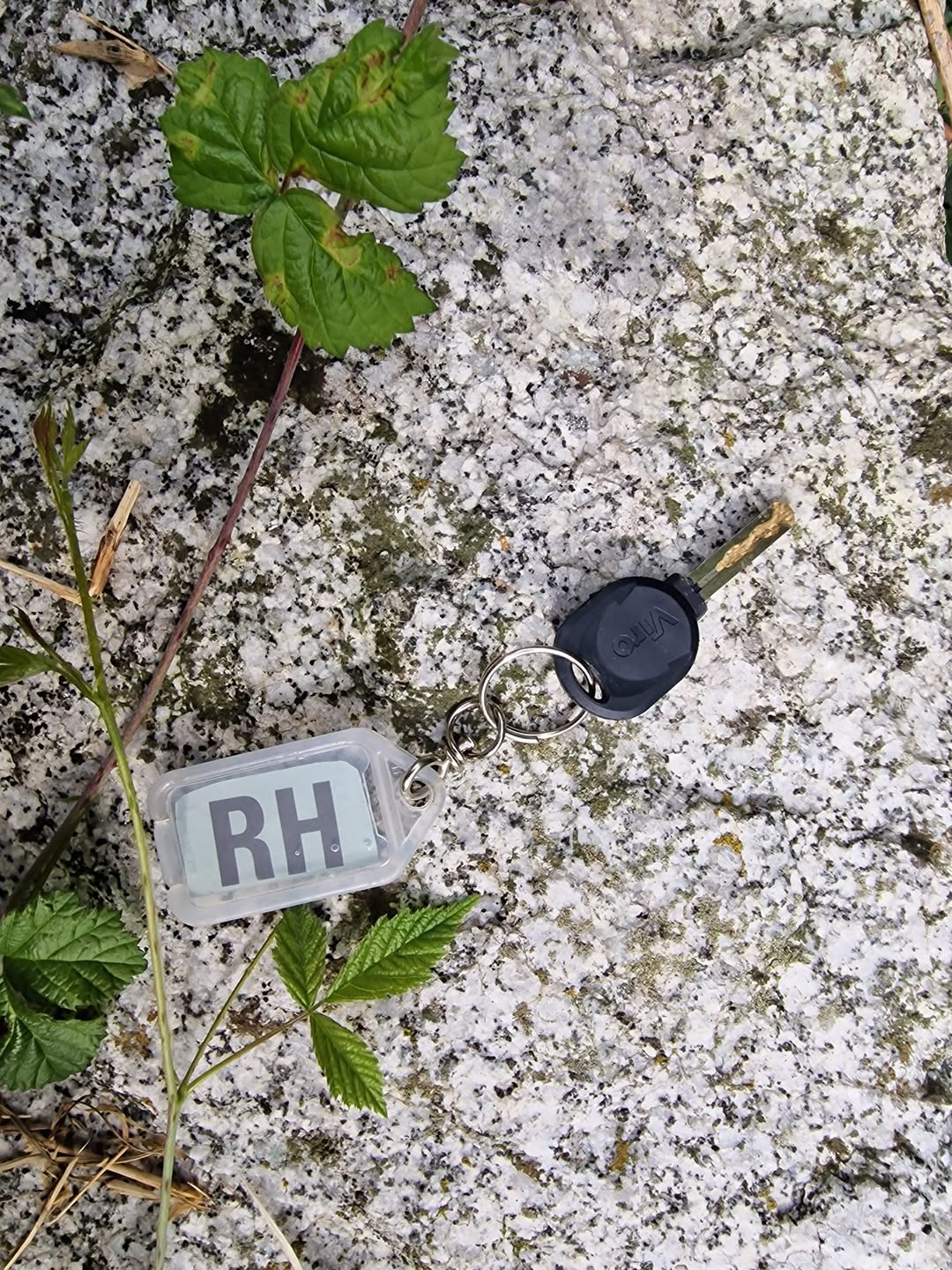 Found keys