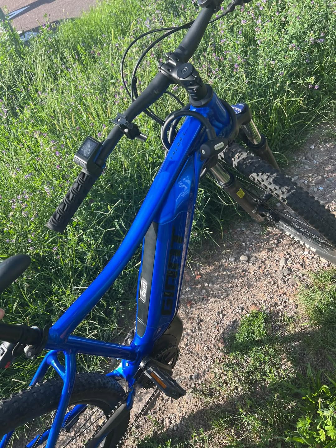 Lost Bike in Bolzano