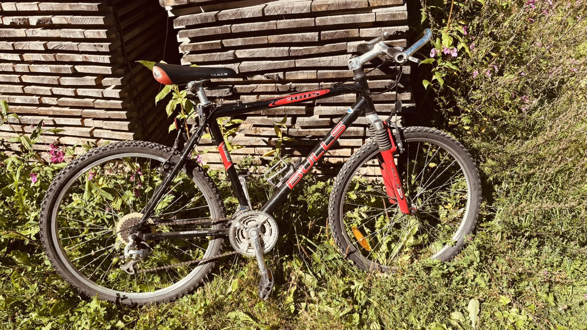Found bike