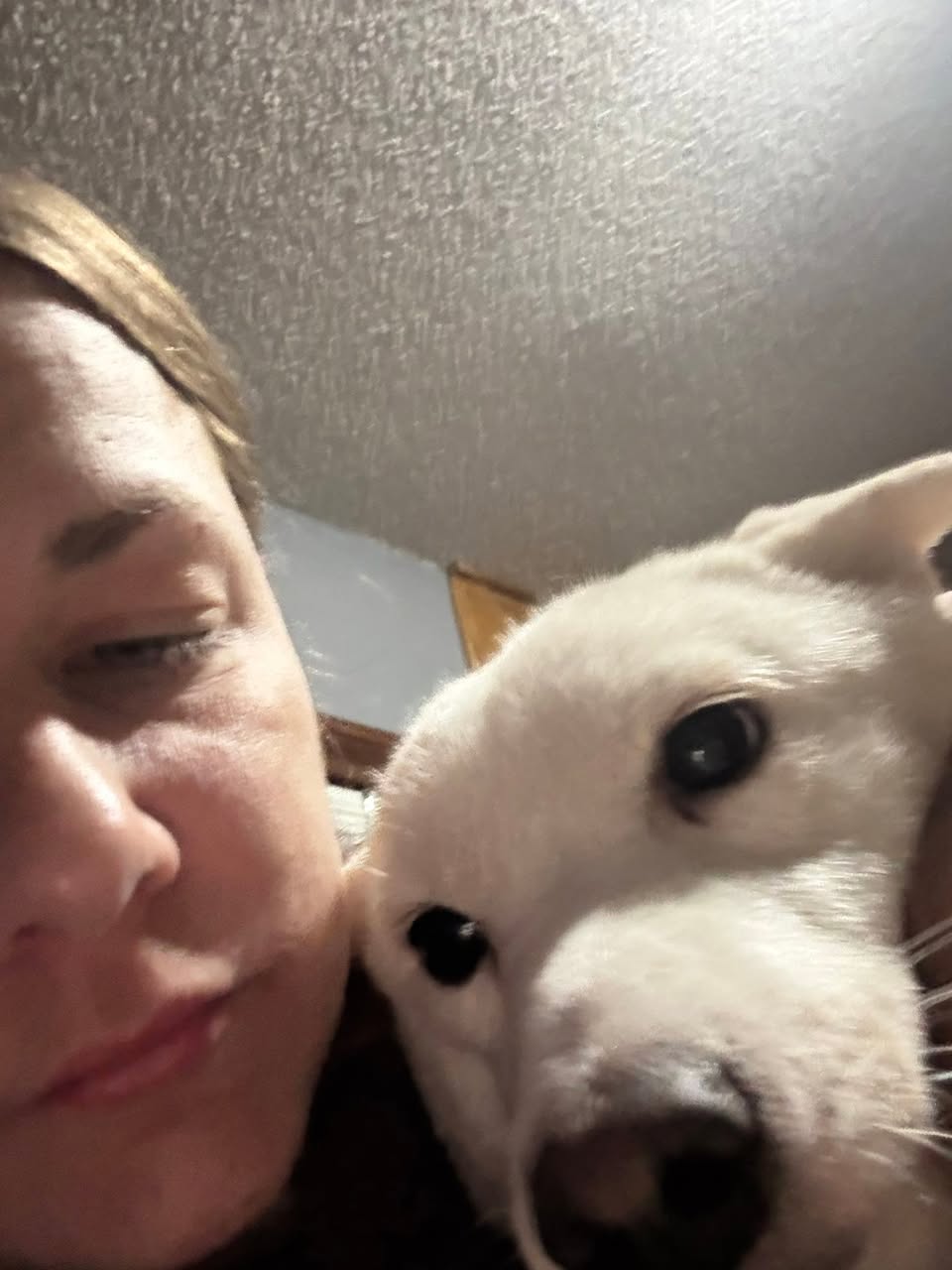 Lost Dog in Topeka