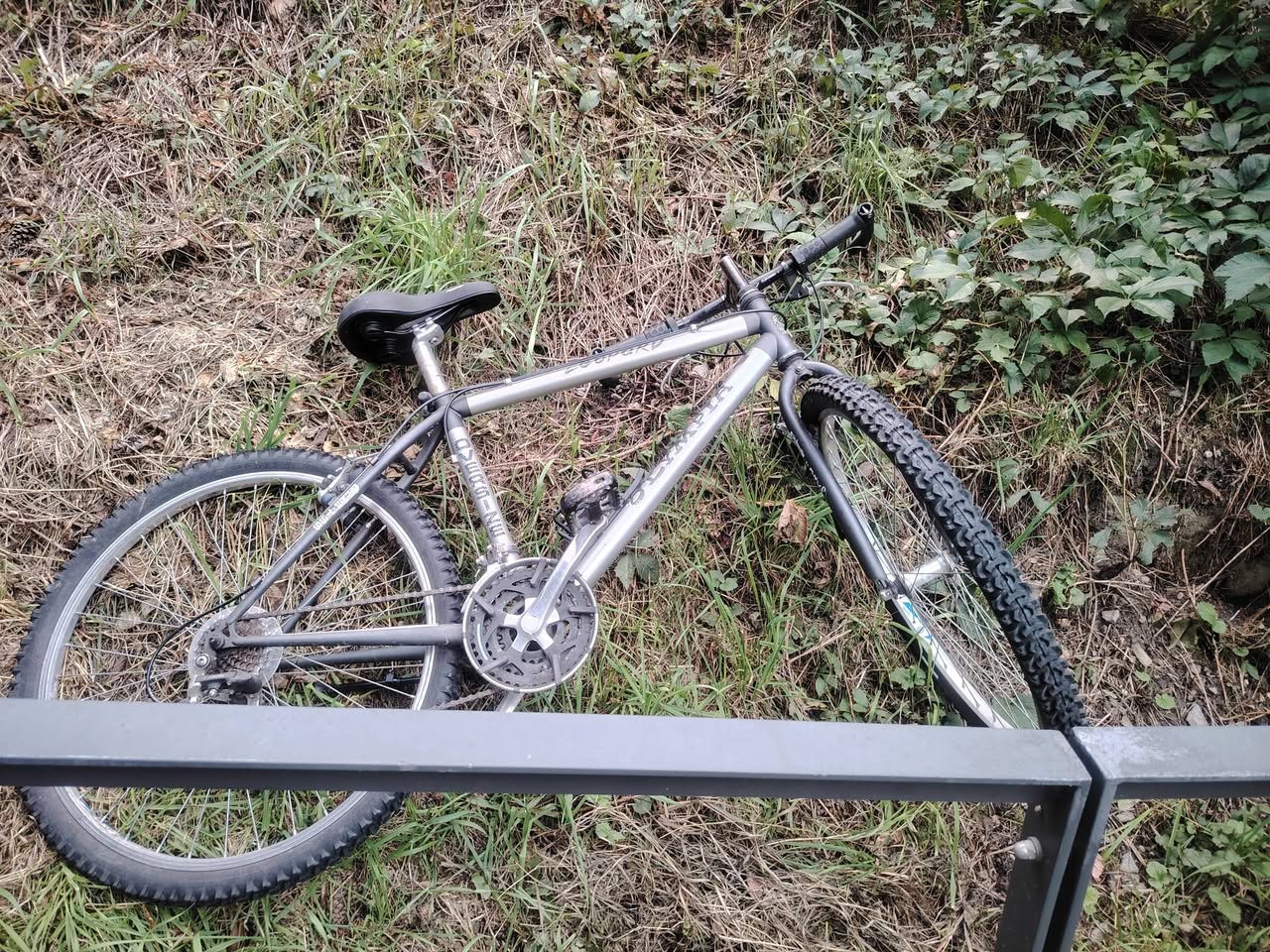 Found bike