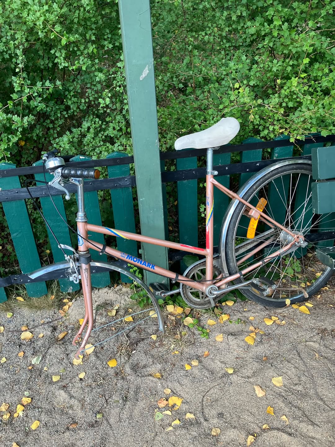 Found bike