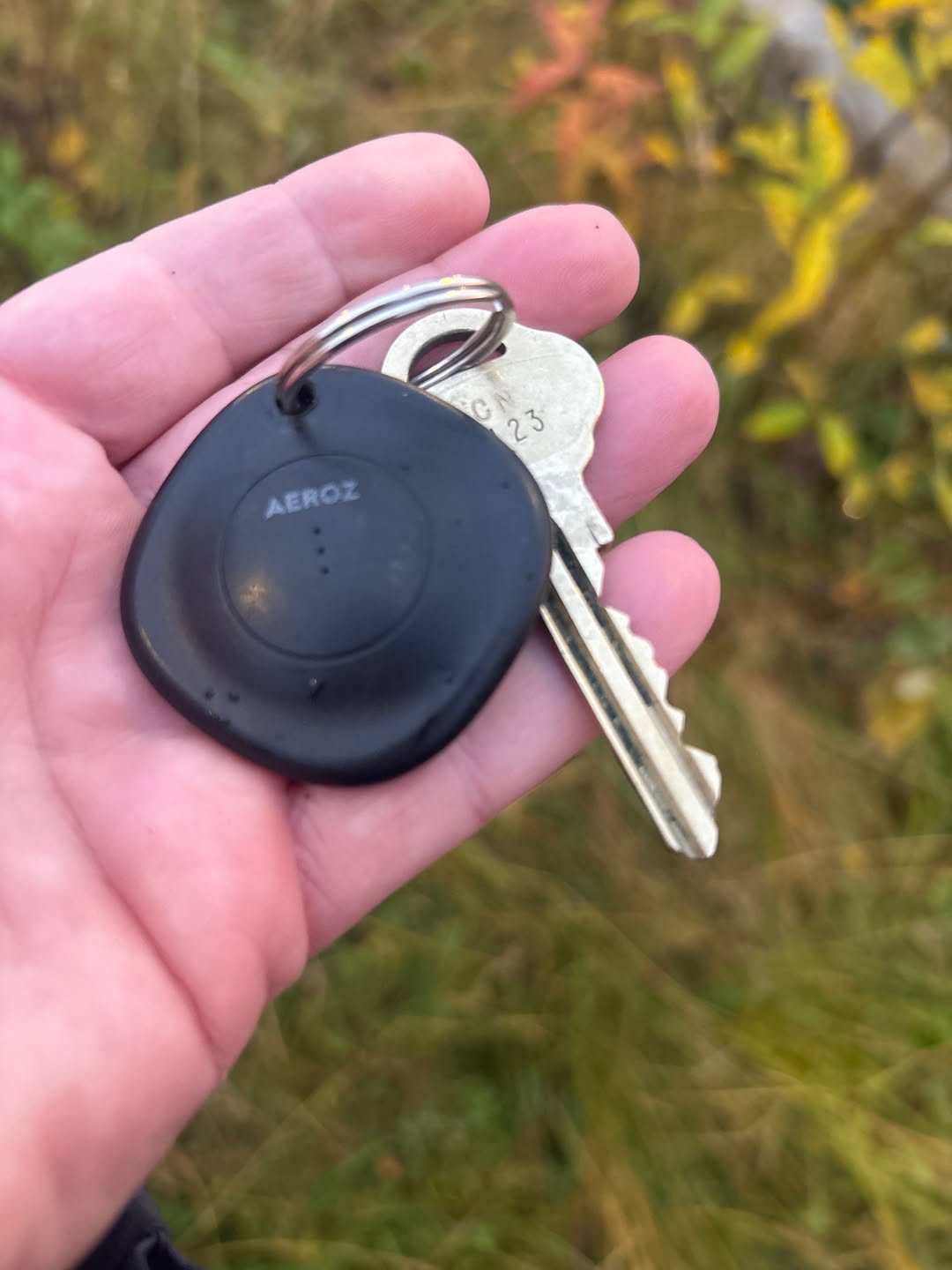 Found keys