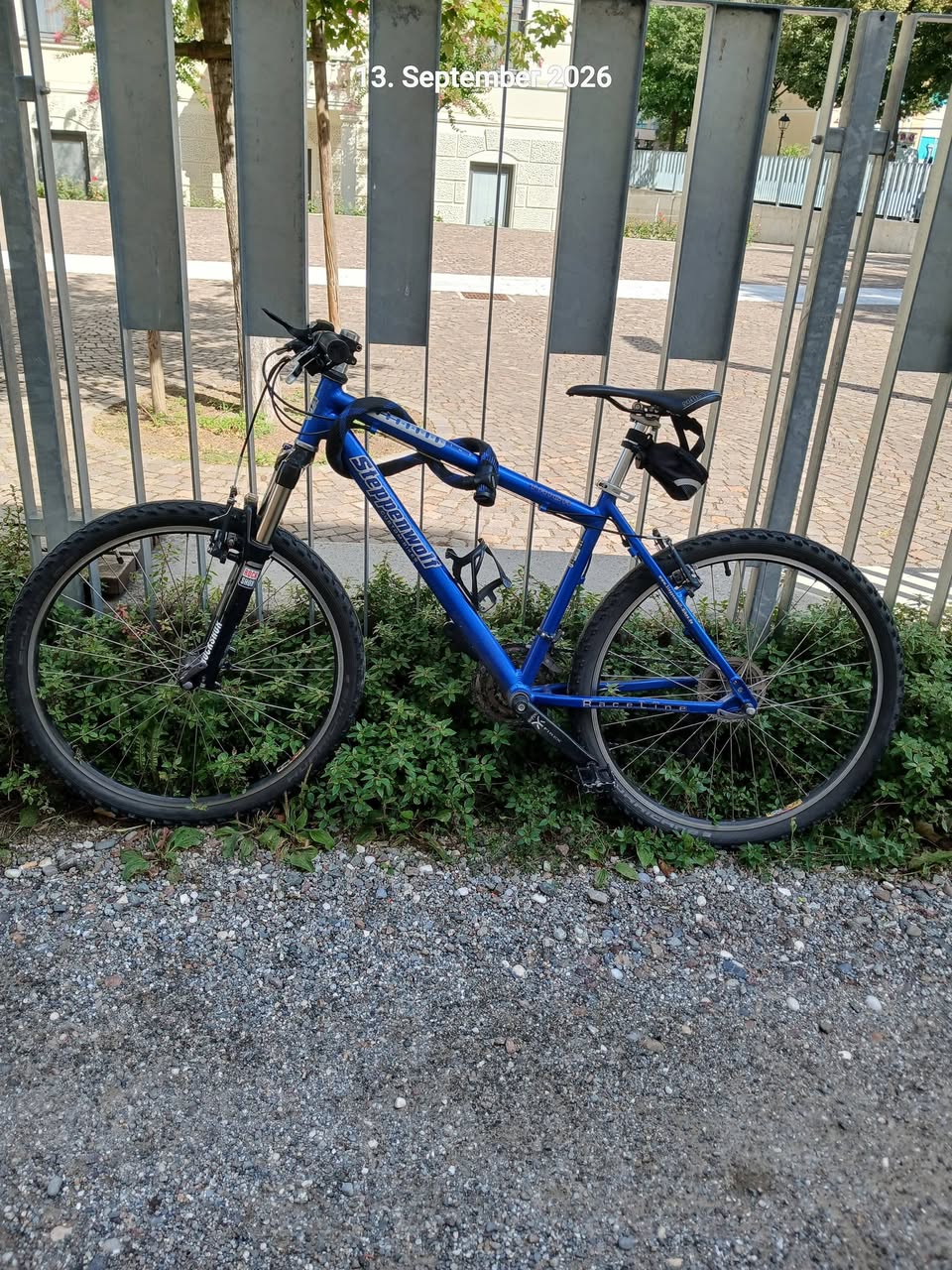 Found bike