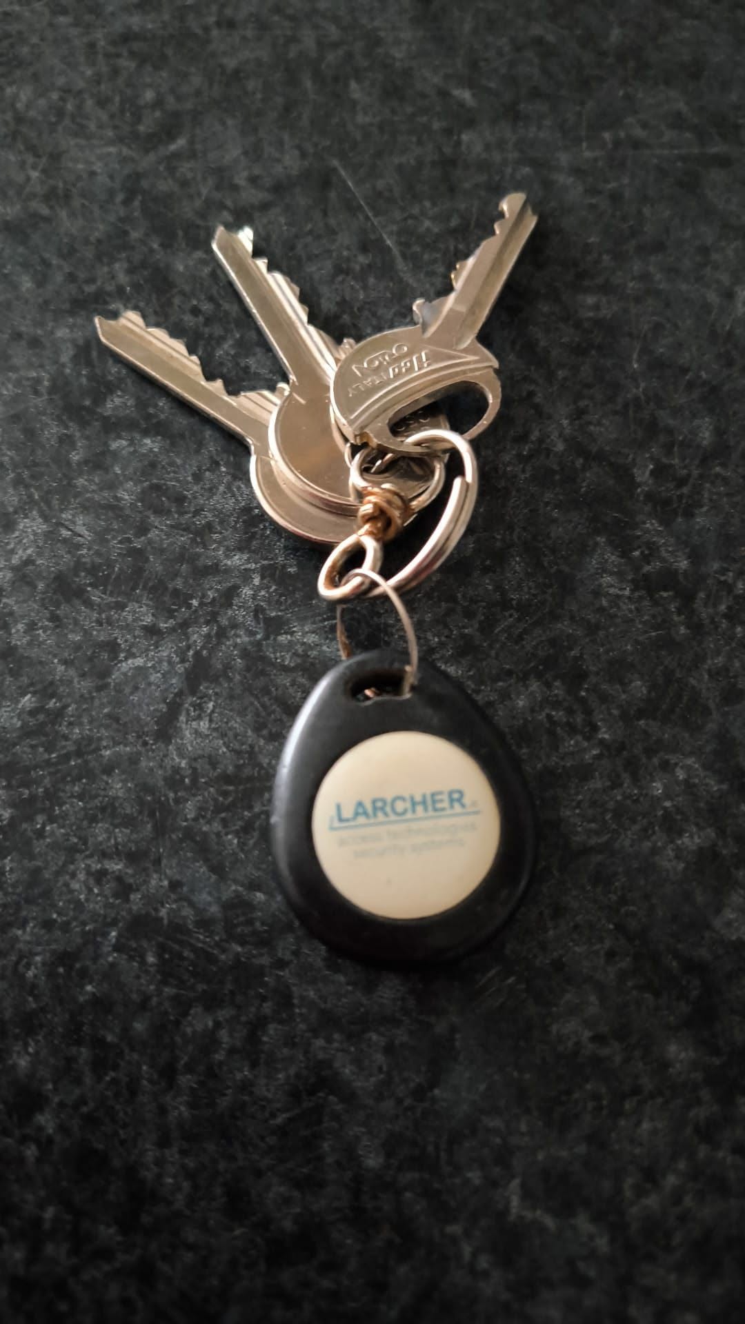 Found keys