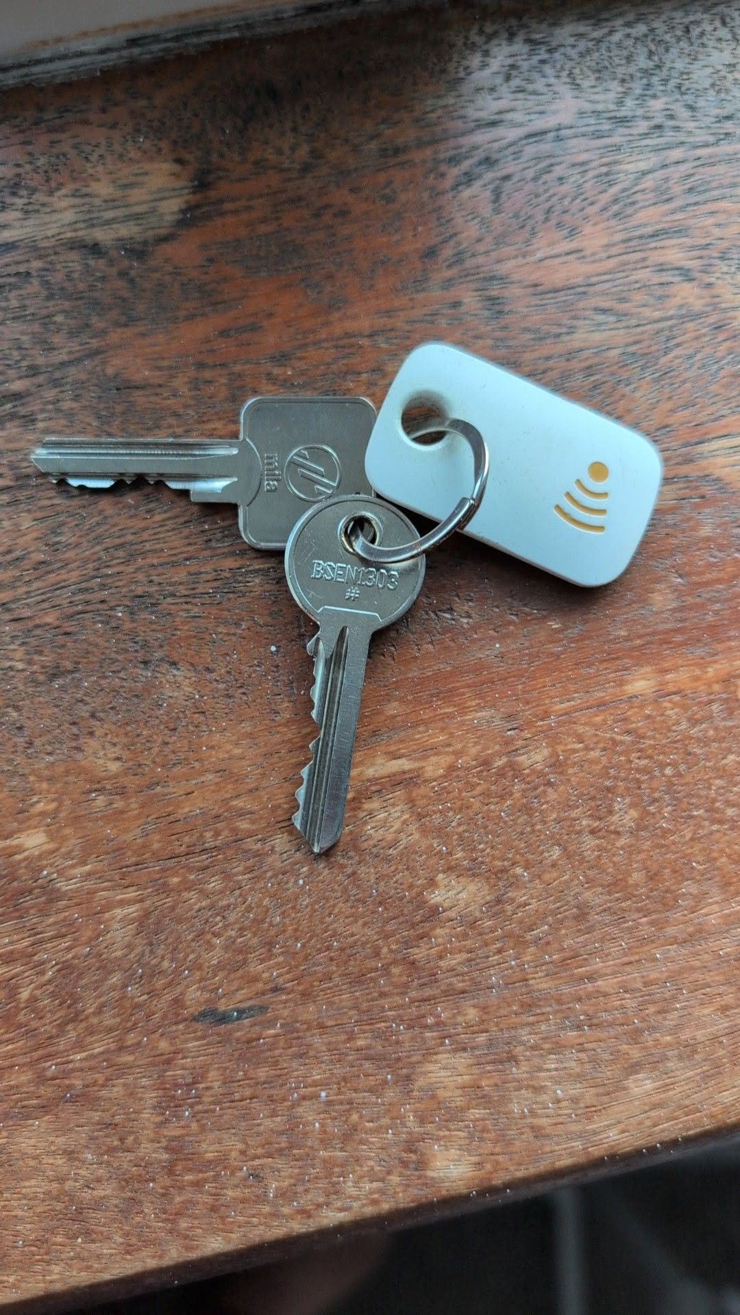 Found keys