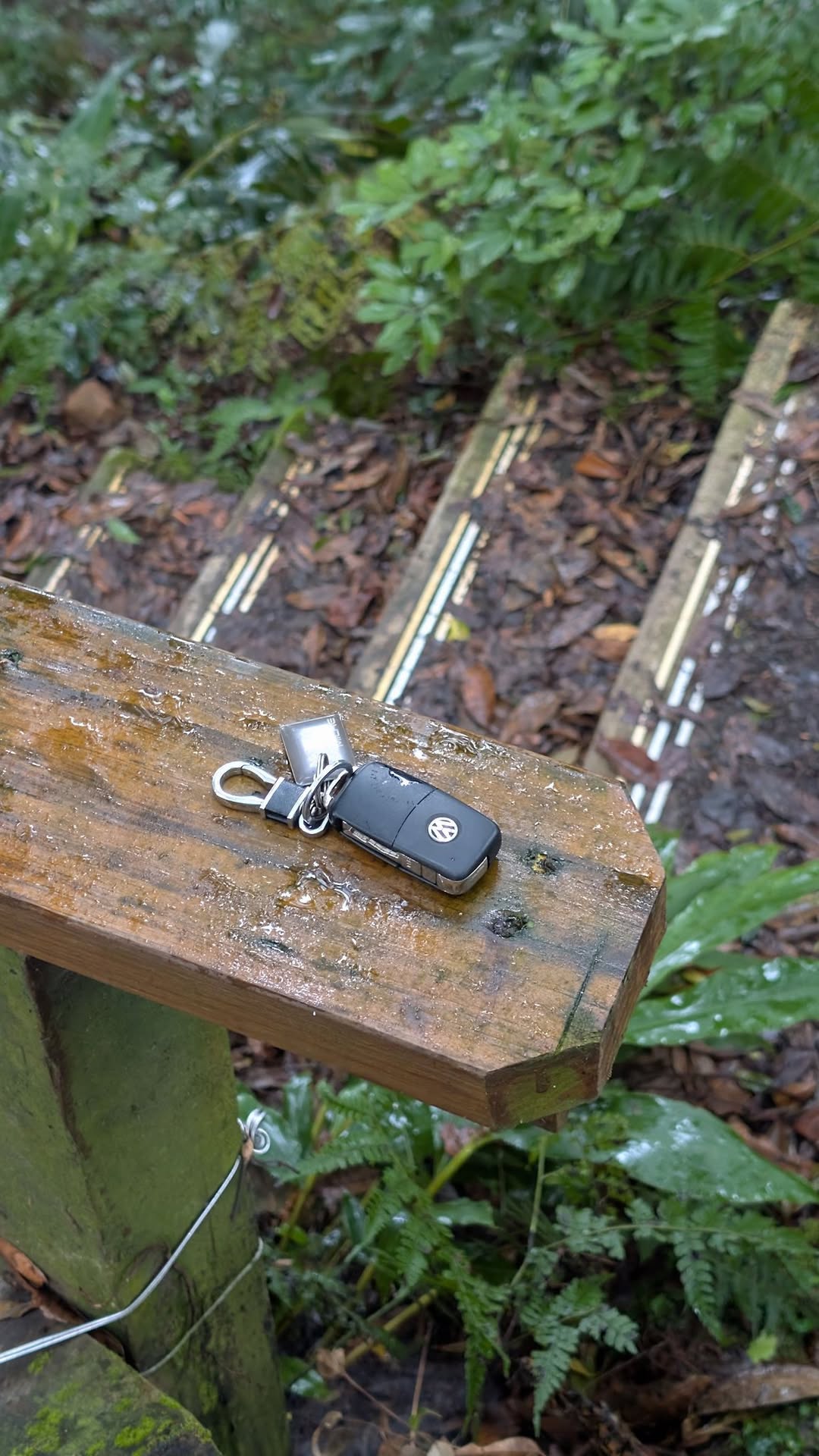 Found Keys in Taichung