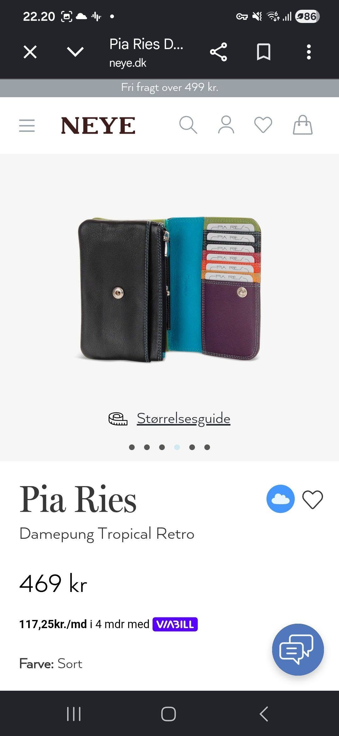 Lost Wallet in Copenhagen