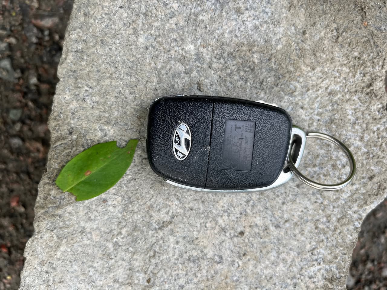 Found keys