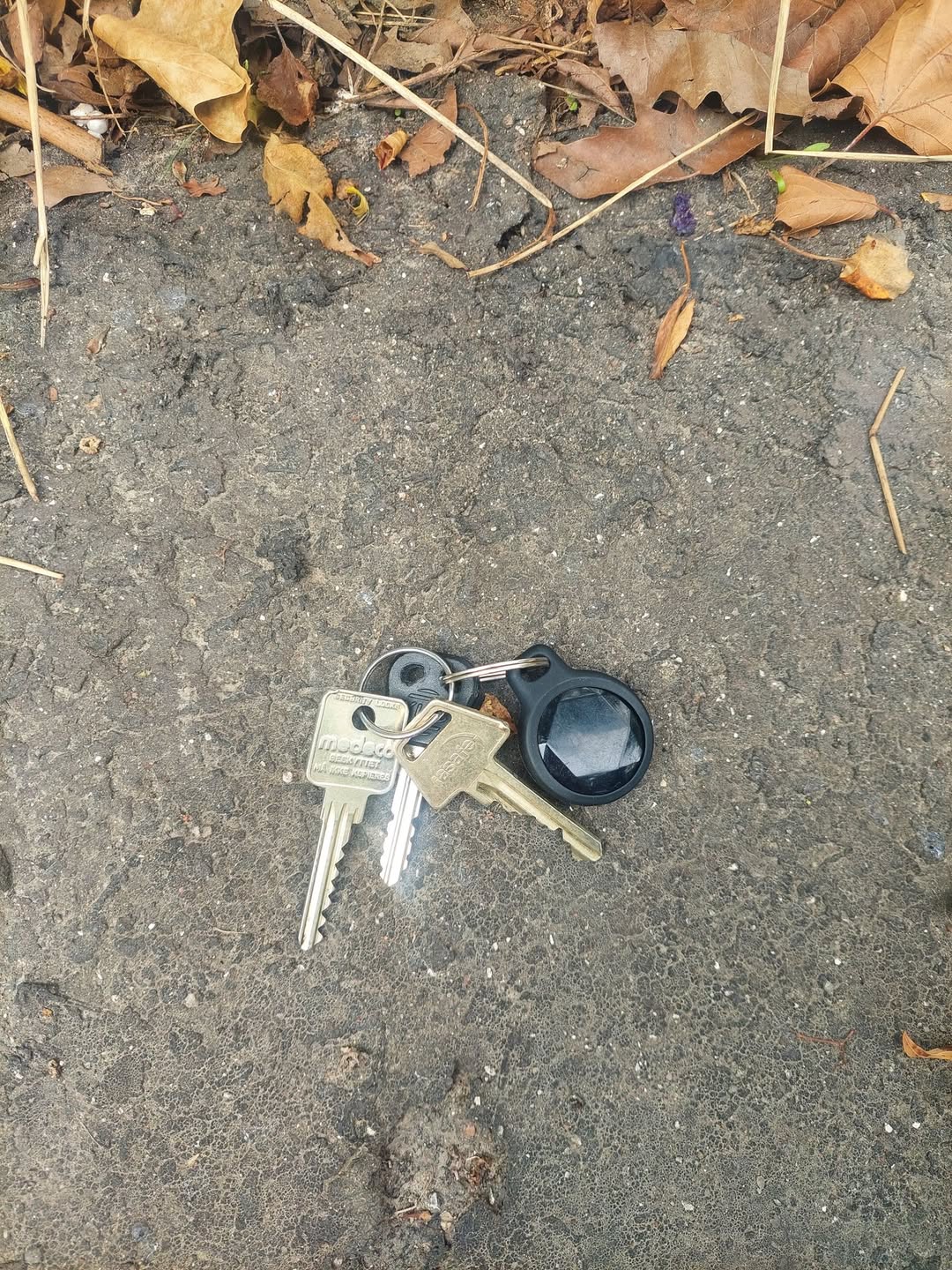 Found keys