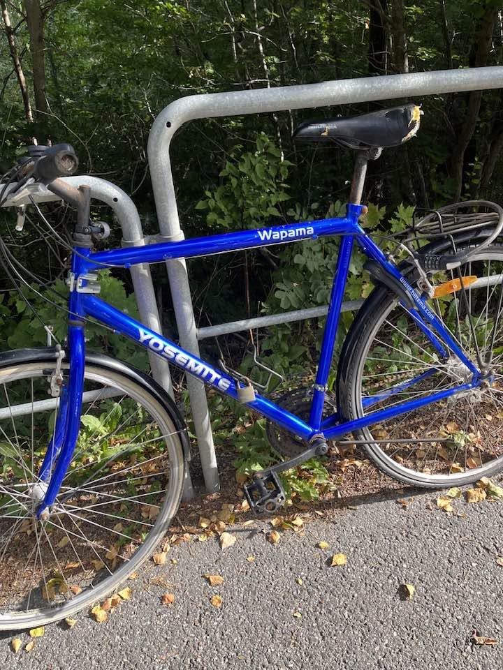 Found bike