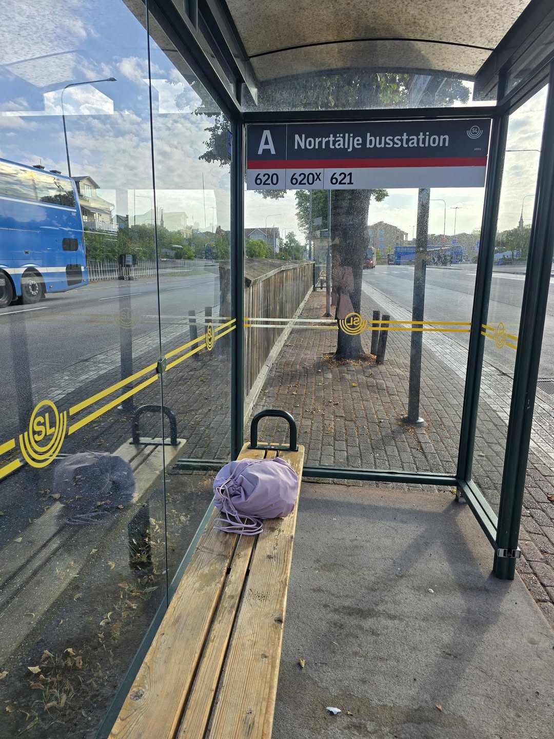 Found bag